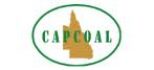 past employer ARCO majoirty owned mine Capricorn Coal logo